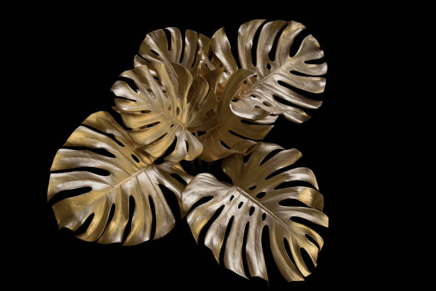 istock Tropical leaves gold and black, can be used as background(Monstera,palm,coconut)fern. 1477179390