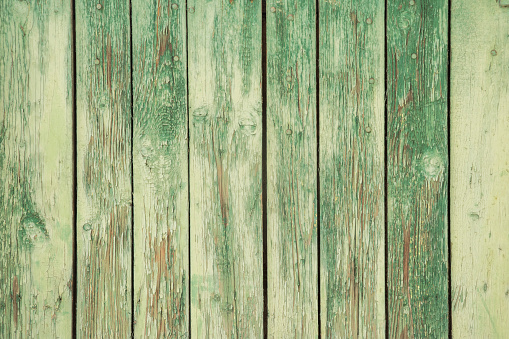 Old weathered faded paint wooden board garden wall closeup as green grunge background