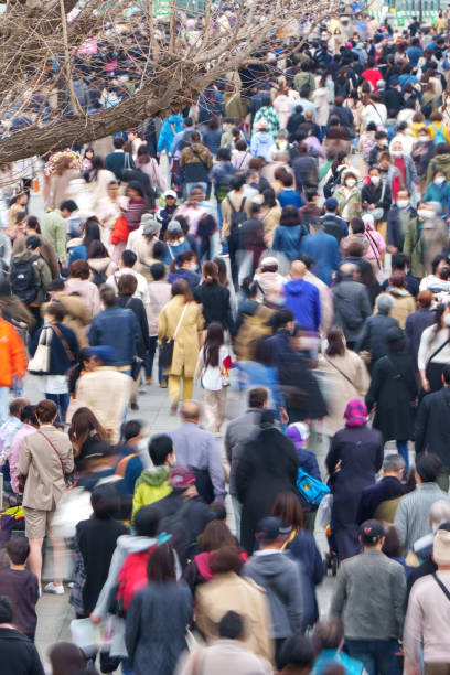 crowded ueno park in front of ueno station, tourists, inbound, cherry blossom festival - spring vertical cherry blossom color image imagens e fotografias de stock