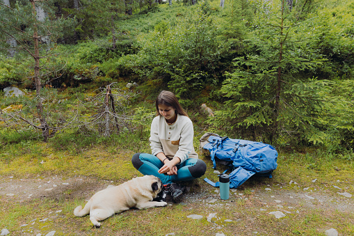 Front view of smiling female with blue backpack sitting with her cute pug and contemplating a trip in the fresh summer pine woodland on the fjords of Western Norway, Scandinavia