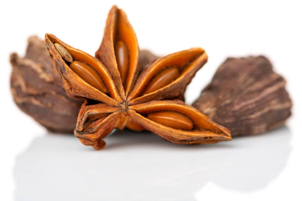 Start Anise and cardamom  with white background stock photo