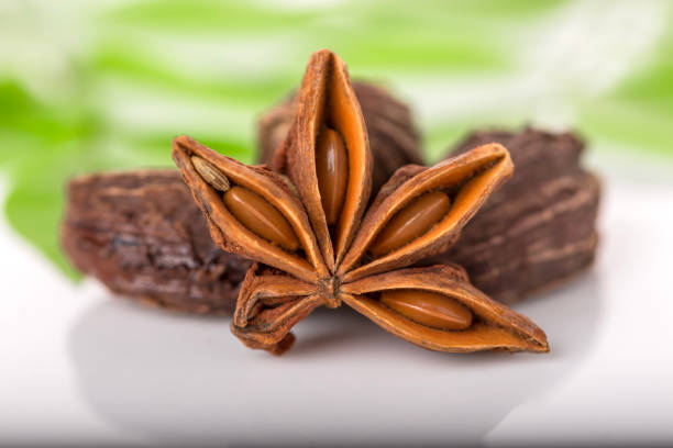 Star Anise with green background stock photo