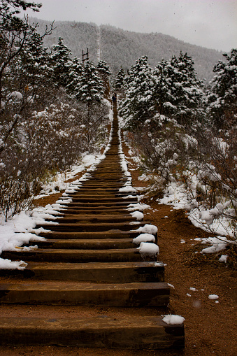 This beautiful image is of the Manitou Incline, in Colorado! You can climb this pathway all the way up to the peak of the Mountain. The Manitou Incline is a goal for many hikers in Colorado.  The Incline ascends on the east slope of Rocky Mountain which is itself on the eastern flank of Pikes Peak.