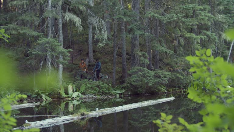 Two mountainbiker in forest