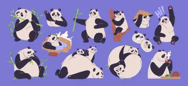 Vector illustration of Cute pandas set. Funny Asian bears. Wild Chinese animal eating bamboo, sitting on tree branch, lying, relaxing. Jungle, Asia zoo characters, giant and little babies. Flat vector illustration