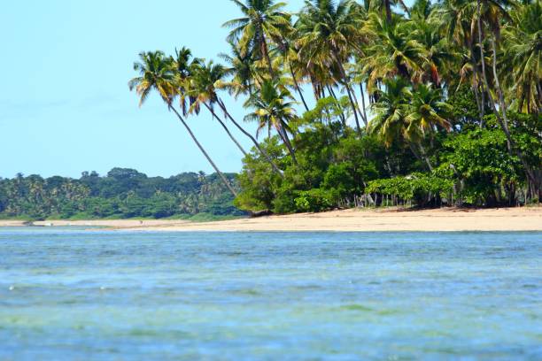 istock Tropical beach in Boipeba island, Bahia, Brasil 1477190634