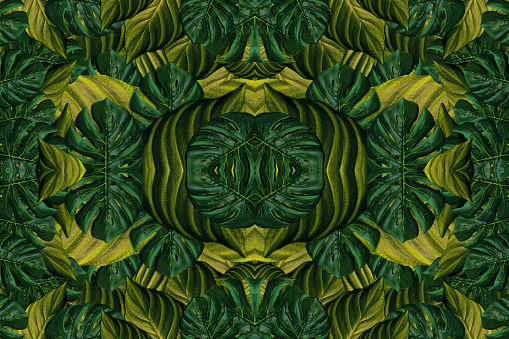 Seamless pattern with exotic tropical plants