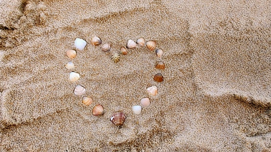 seashells forming a heart in the sand on the beach.
