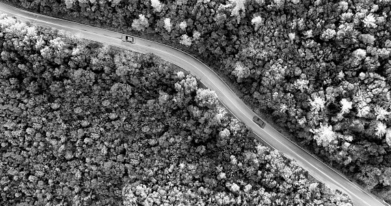 Aerial view of cars on winding road in the forest in autumn, Chianti region, Tuscany, Italy.