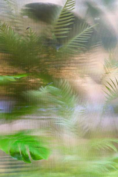 istock blurred silhouette of palm leaves. shadow effect behind glass. defocused 1477204501
