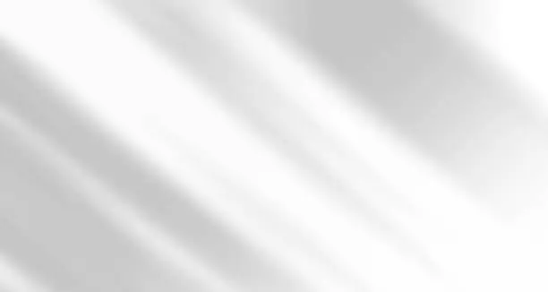 Feuilles de lumière naturelle floues réalistes, superposition de paume et d’ombre de fenêtre sur papier peint ou texture des cadres, fond abstrait, été, printemps, automne pour le podium de présentation du produit et la maquette saisonnière. Feuilles de lumière naturelle floues réalistes, superposition de paume et d’ombre de fenêtre sur papier peint ou texture des cadres, fond abstrait, été, printemps, automne pour le podium de présentation du produit et la maquette saisonnière.