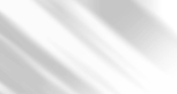 daun cahaya alami buram yang realistis, hamparan bayangan telapak tangan dan jendela pada kertas dinding atau tekstur bingkai, latar belakang abstrak, musim panas, musim semi, musim gugur untuk podium presentasi produk dan mockup musiman. - bayangan efek cahaya ilustrasi stok