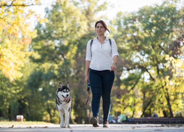 istock Husky and owner girl for a walk 1477207268