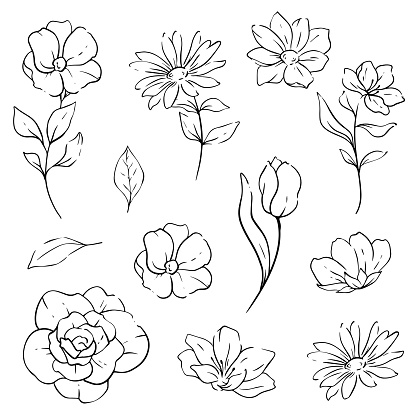Greenery Line Art. Floral Line Art Illustration for Flower Coloring Pages, Minimalist Modern Wedding invitations