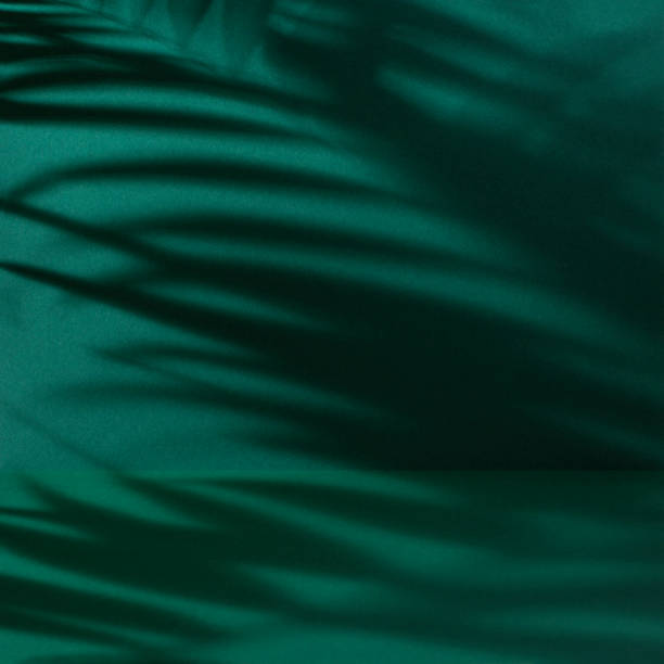 Dark green abstract background with palm leaves shadow