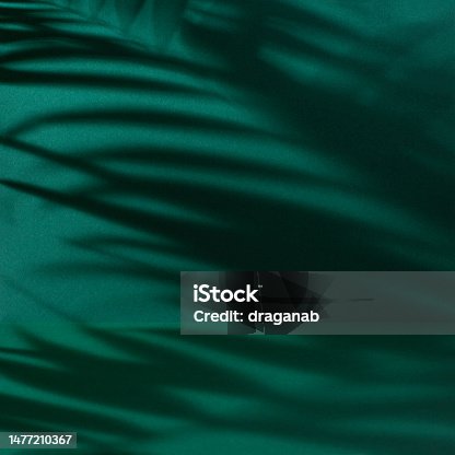 istock Dark green abstract background with palm leaves shadow 1477210367