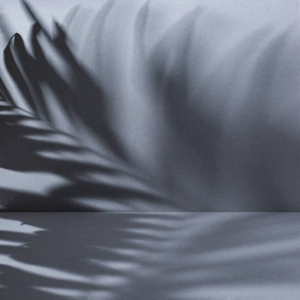istock Gray abstract background with palm leaves shadow 1477210369