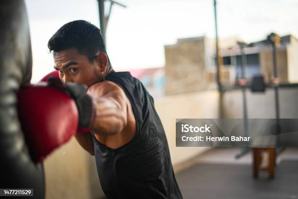 Portrait Of Young Male Boxing Athlete Stock Photo - Download Image Now - Exercising, Boxing - Sport, Sports Training