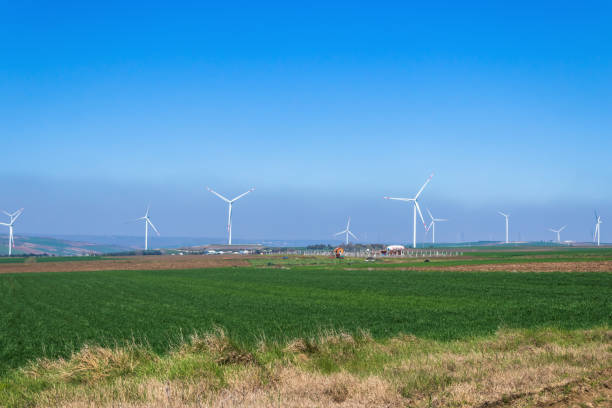 istock wind turbines generating energy from the wind, in nature, clear blue sky 1477211746