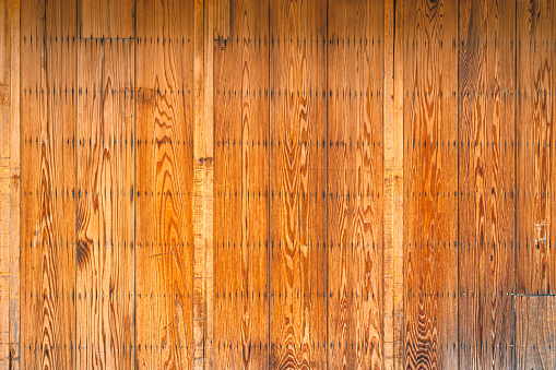 Bamboo Wood texture background
