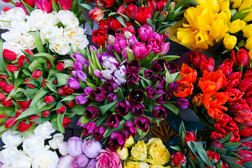 Beautiful blossoming flower bed of freshly delivered flowers at the florist shop. colorful Peonies, roses, ranunculus, tulips, carnations, eustoma lisianthks, hydrangea. top view