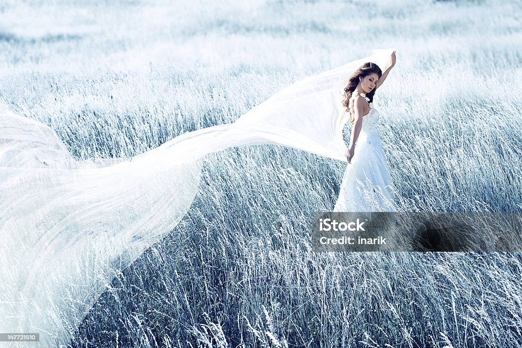 bride in blue field with waving fabric beautiful bride in blue field with long waving fabric. Dress Stock Photo