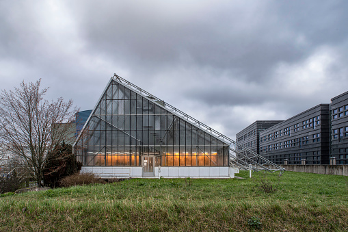 Architecture of a yellow-lit greenhouse for ecological agriculture