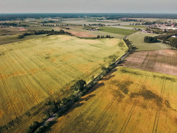 istock top views of fields, lakes and meadows 1477215675