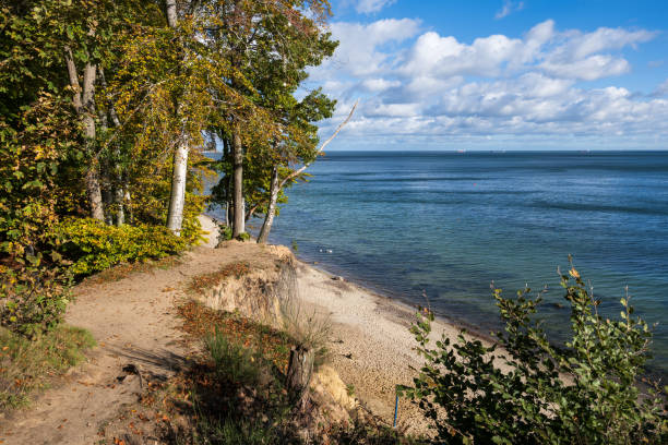 istock Baltic Sea Coast In Autumn 1477216568