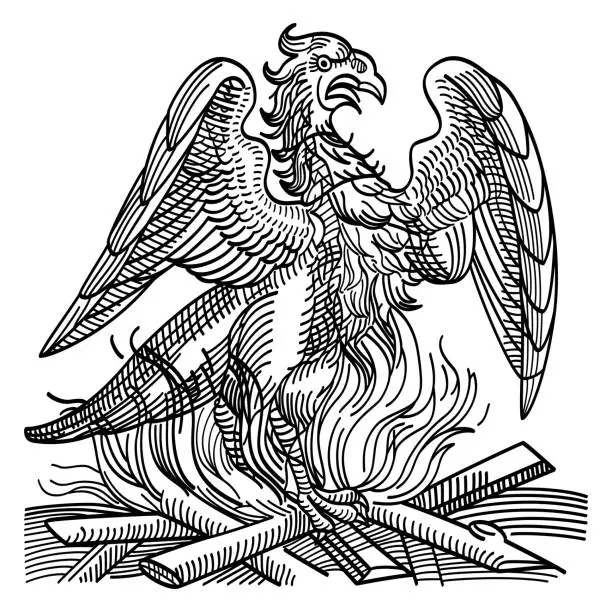 Vector illustration of A phoenix obtains new life by rising from the ashes of its predecessor
