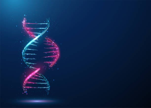 abstrakte 3d-dna-molekül-helix mit geschnittenem teil - chromosome stock-grafiken, -clipart, -cartoons und -symbole