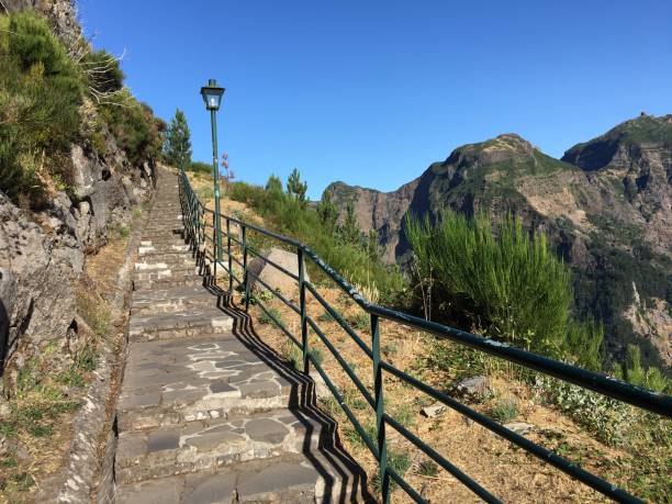 istock Stone stairs into the mountain, in Madeira Island 1477221768