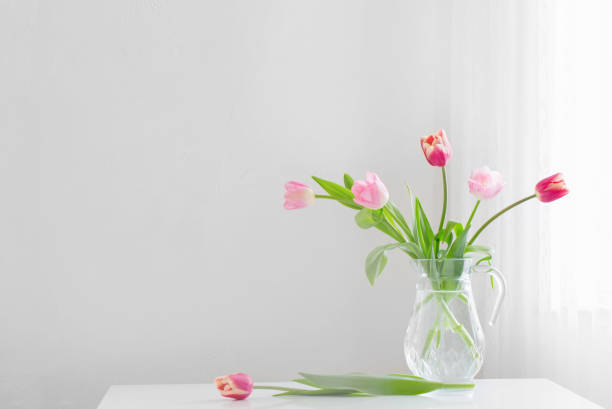 istock tulips in glass vase on white background 1477223247