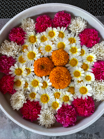 Stock photo showing a colourful floral arrangement inside an Indian uruli bowl filled with water, floating pink, orange and white flowers, with daisies, marigolds, and chrysanthemums being displayed in a circular pattern
