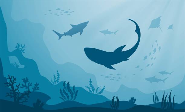 ilustrações, clipart, desenhos animados e ícones de paisagem marítima subaquática. silhuetas de peixes marinhos, tubarões, corais e algas - vector reef coral shark