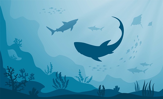 Underwater seascape. Silhouettes of sea fish, sharks, corals and algae on blue water background. Ocean life, marine nature, flora and fauna. Vector illustration