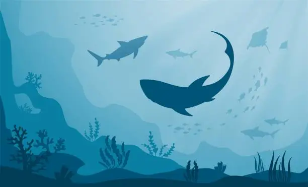 Vector illustration of Underwater seascape. Silhouettes of sea fish, sharks, corals and algae