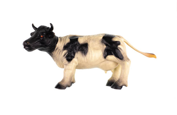istock plastic cow toy isolated on white background 1477225255