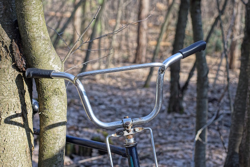 one old retro bicycle with a white metal steering wheel and black plastic handles stands near a gray tree in nature