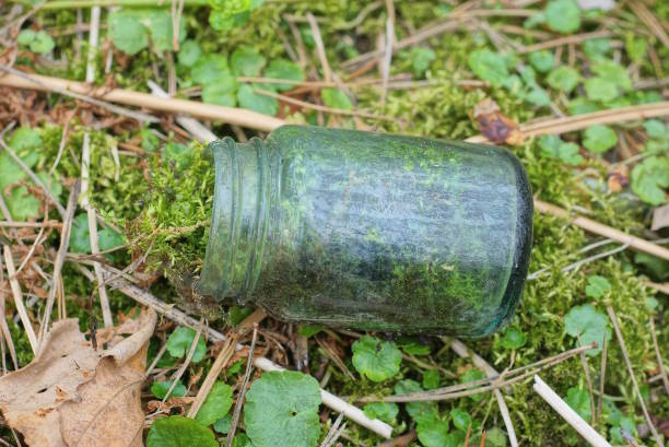 one old glass gray jar overgrown with green moss lies on vegetation in nature