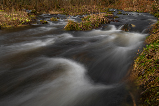 Bila Opava river in Jeseniky mountains in spring fresh morning