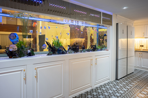 The modern interior domestic kitchen with aquarium