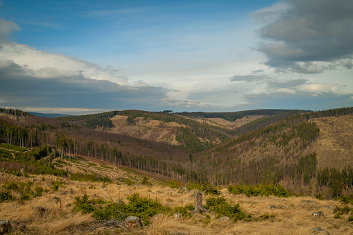 Jeseniky mountains without forests with bark beetle in spring cloudy day