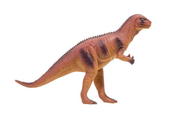 istock A plastic dinosaur in profile isolated on a white background. Iguanodon 1477229365