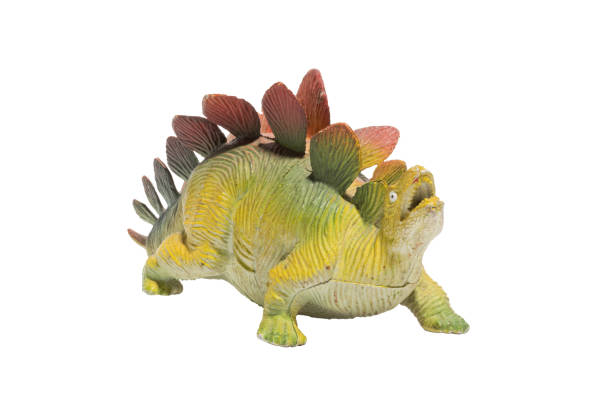 ein abgenutzter plastikdinosaurier isoliert auf weißem hintergrund. stegosaurus - dinosaur toy dino monster stock-fotos und bilder