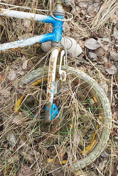 istock Abandoned Bike as Beautiful Junk 147724003