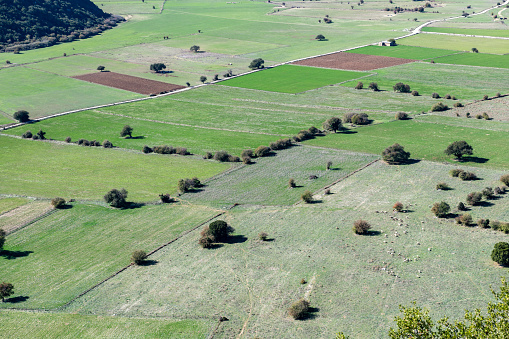 Fertile farmland in the valley between mountains. Aerial view.