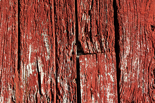 Aged wood door of a barn in Tuscany