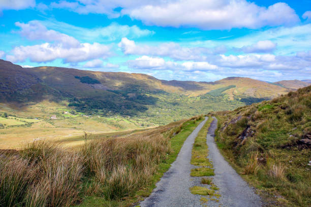 istock Travelling through the West Cork landscape, summer Ireland 1477243687