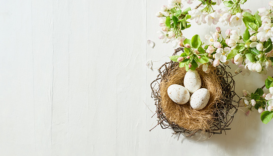 Holiday composition with spring flowers and easter eggs on a light background. Happy easter flat lay concept with copy space